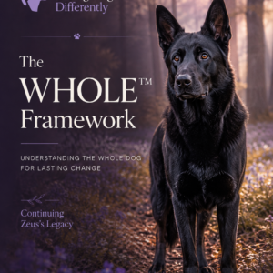 The WHOLE™ Framework Zeus-inspired black German Shepherd standing calmly in woodland, representing the WHOLE Framework and understanding the whole dog.