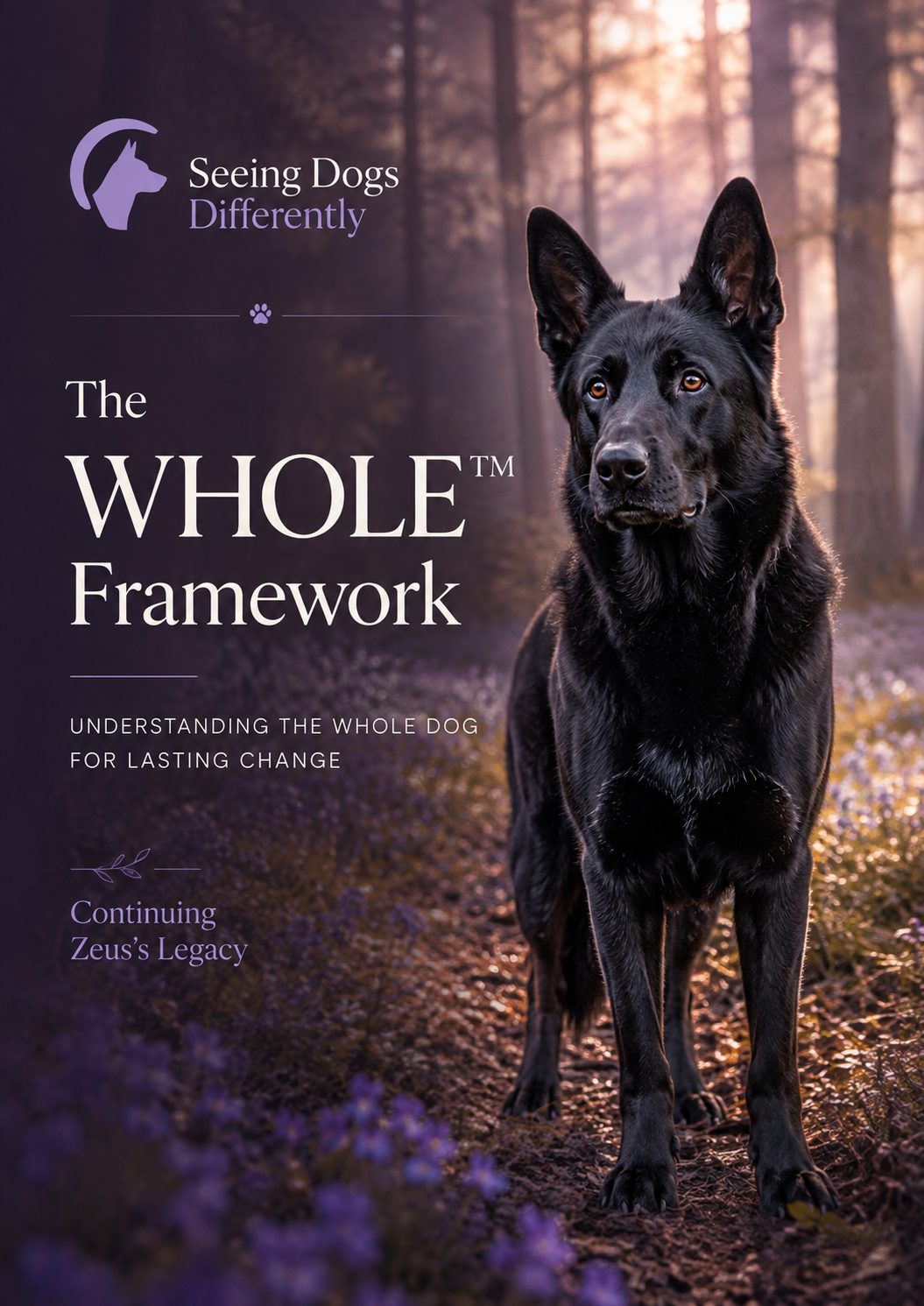 The WHOLE™ Framework The WHOLE™ Framework Zeus-inspired black German Shepherd standing calmly in woodland, representing the WHOLE Framework and understanding the whole dog.