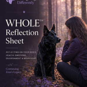 WHOLE™ Reflection Sheet Black German Shepherd being thoughtfully observed in woodland, representing reflection on health, emotions, environment and behaviour.