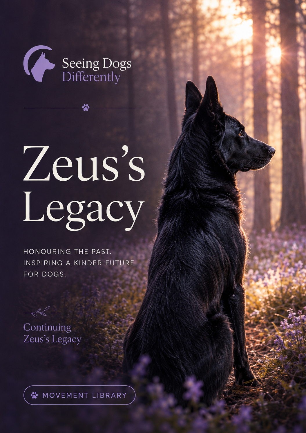 Zeus’s Legacy Zeus’s Legacy Zeus-inspired black German Shepherd looking towards sunrise through woodland, symbolising his lasting legacy and Seeing Dogs Differently.